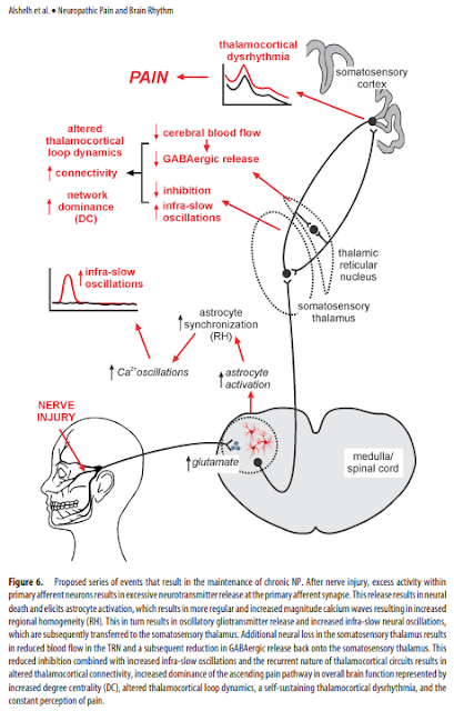 why-am-i-having-pain-dr-cremers